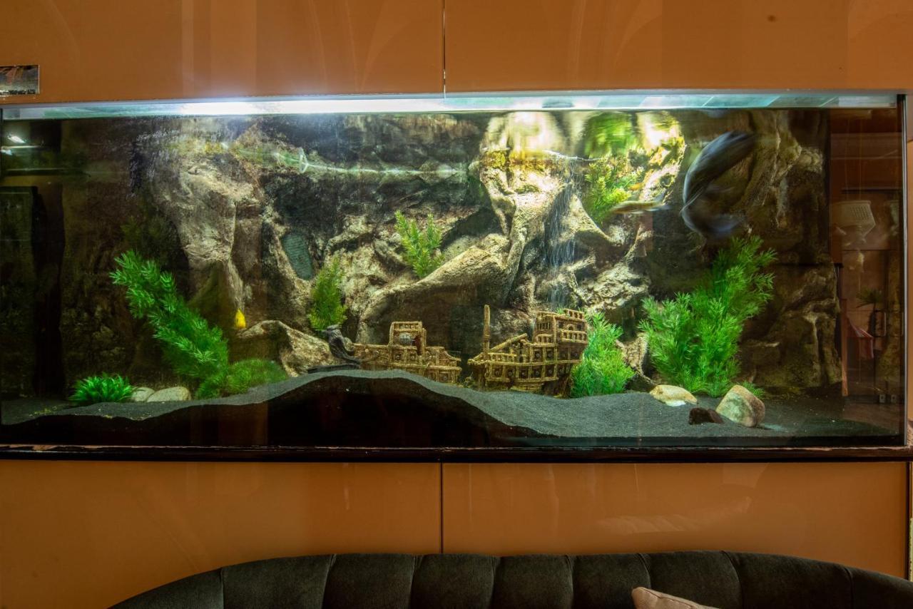 Korona Hotel Nyíregyháza Екстериор снимка