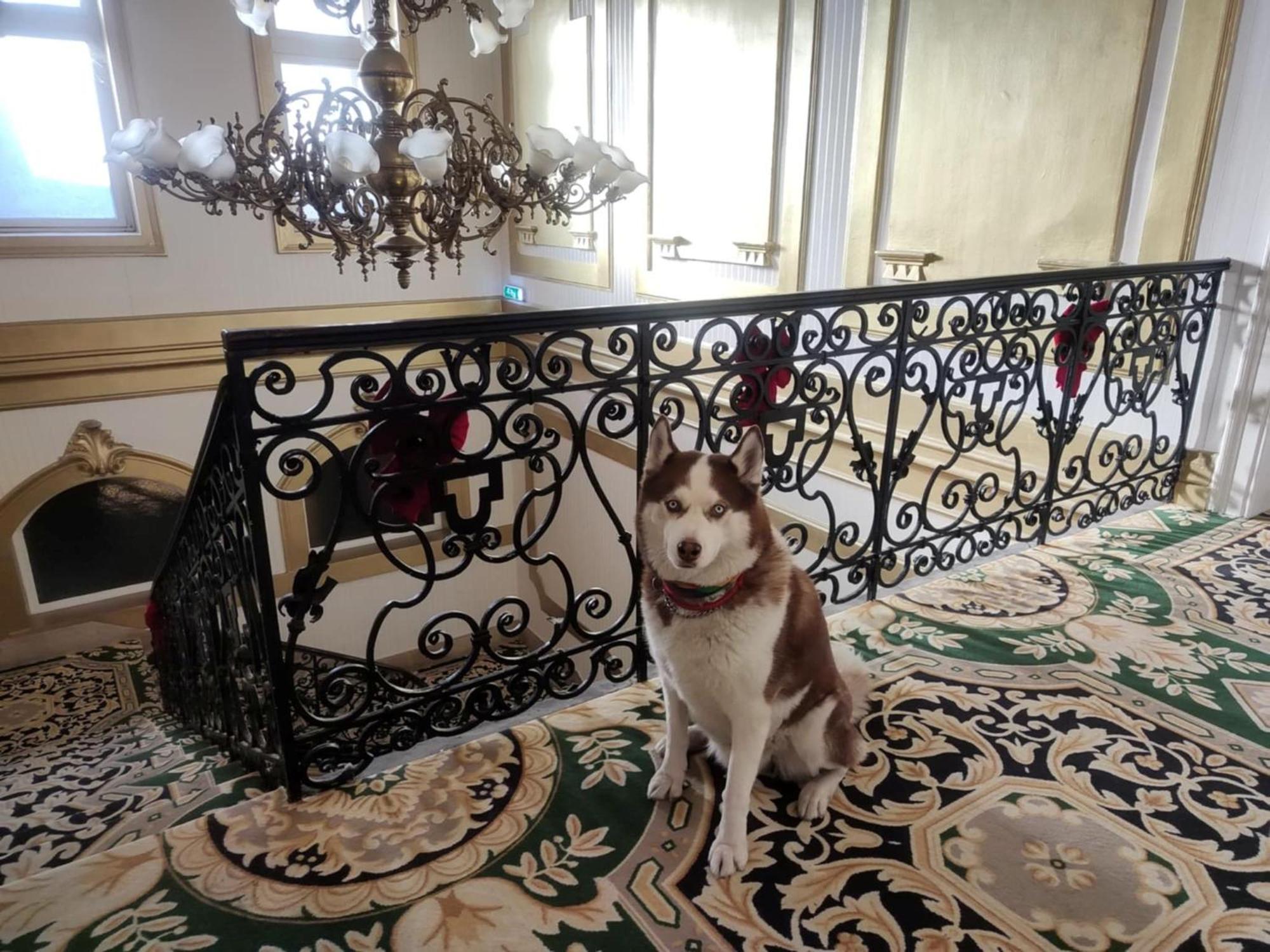Korona Hotel Nyíregyháza Екстериор снимка